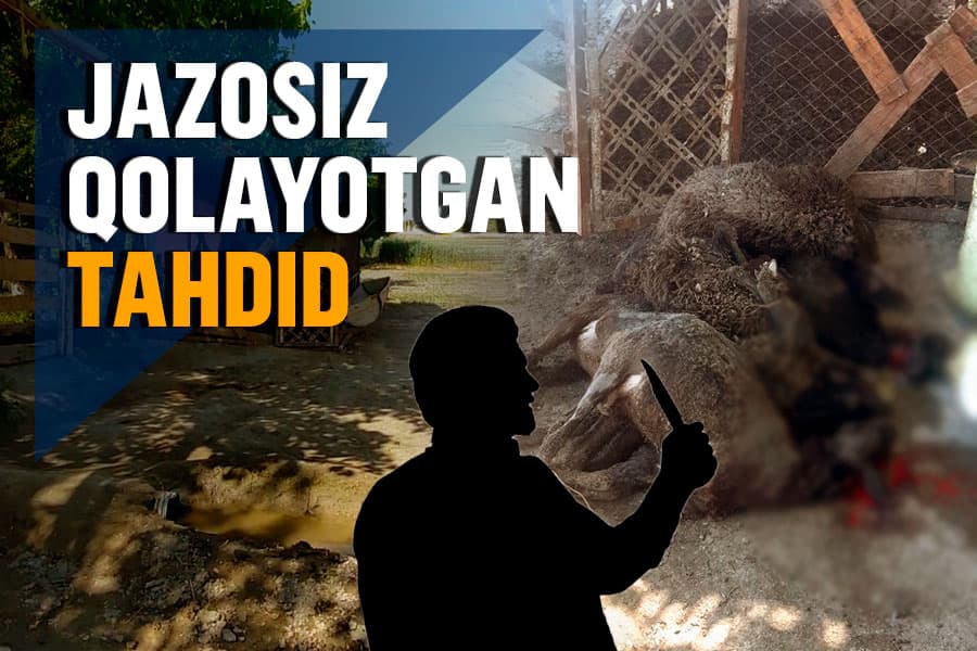 Samarqandda qo‘ylari bo‘g‘izlangan oila xavotirda: tahdid qilgan jinoyatchilar hamon topilmadi 
