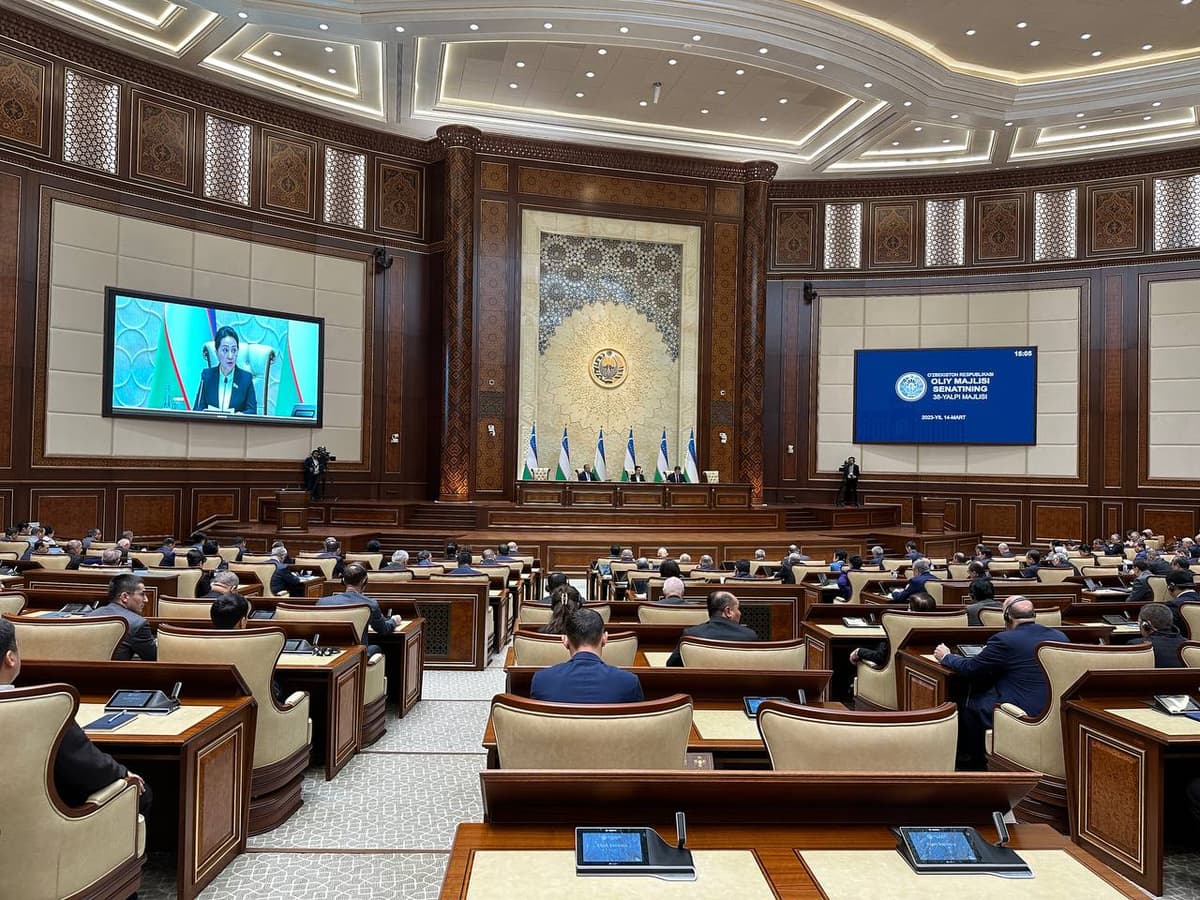 Сенаторы одобрили проведение референдума по обновленной Конституции 
