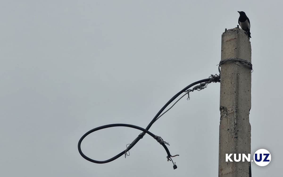 Navoiy, Jizzax va Andijonda elektr ta’minotida uzilishlar kuzatilyapti