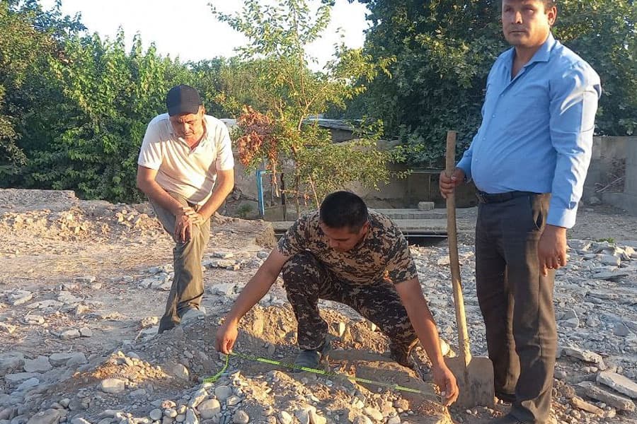 Individuals illegally cut down 61 trees in Surkhandarya