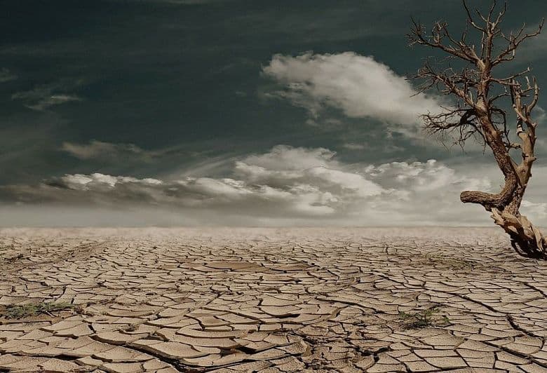 Experts: Taliban’s “megaproject” could leave all of Central Asia without water