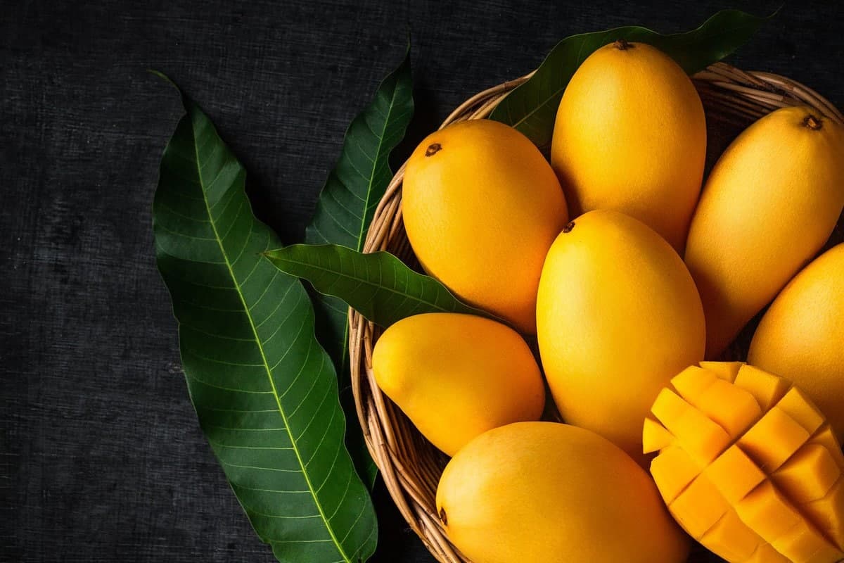 Qozog‘iston O‘zbekistonga mango sotish bo‘yicha birinchi o‘ringa chiqdi