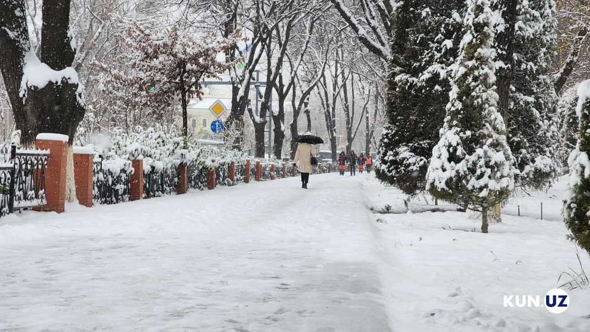 21 dekabr kuni Özbekistonda qor yoğadi
