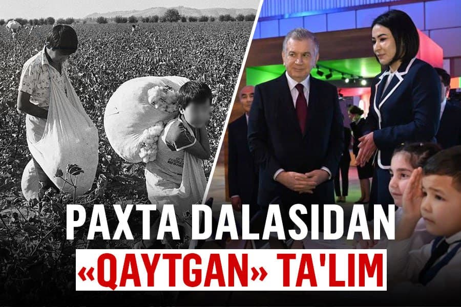 70 foizgaça kamaygan qoğozbozlik – maktabdagi şaroitdan öqituvçilarning köngli tölyaptimi?