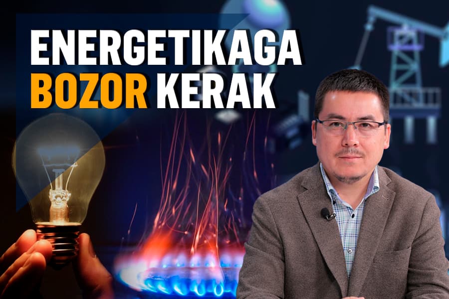 “Energetika bozori shaffof xususiylashtirish orqali yaratiladi” - energetik bilan suhbat