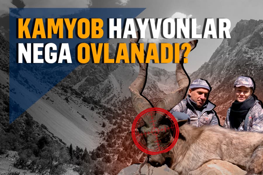 Tabiat muhofazasi Qizil kitobga kiritilgan hayvonlarni ovlashdan keladigan pulga qarab qolganmi?