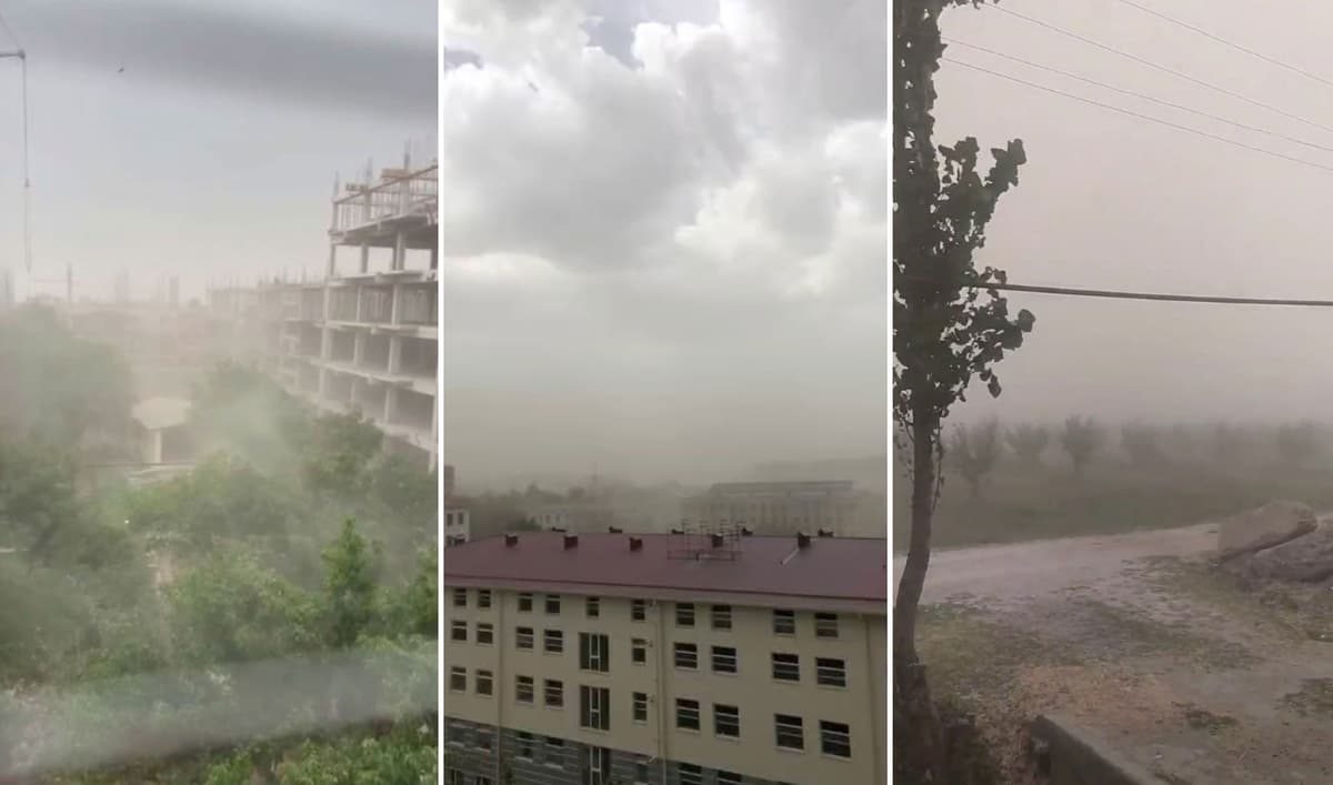 Electricity supply in some areas of Samarkand interrupted due to strong wind 