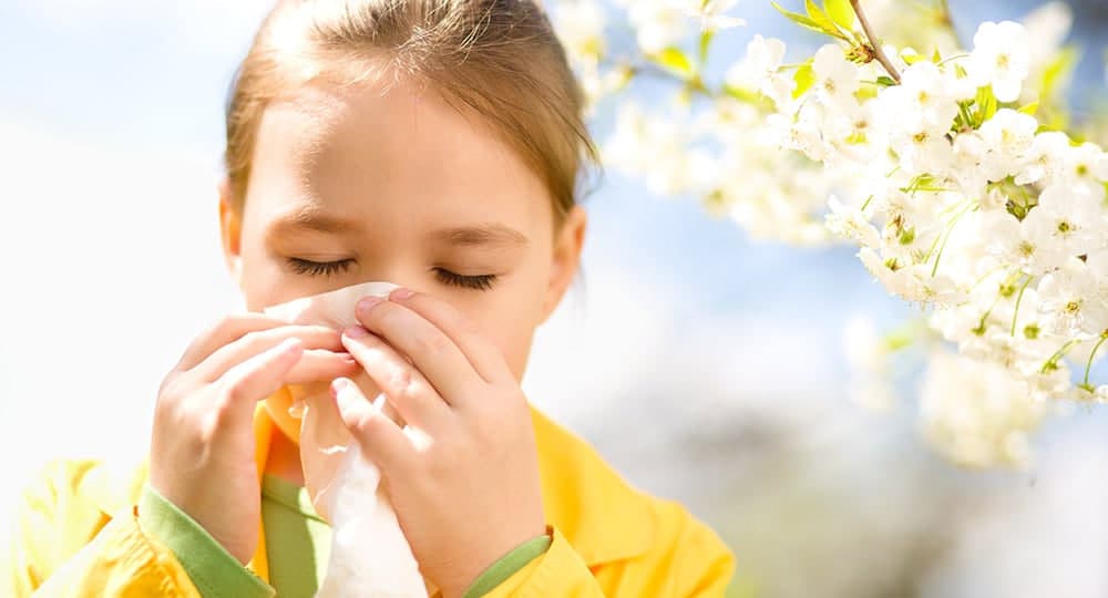 Havo, oziq-ovqat va hasharotlarga allergiya: buni oldindan bilsa bo‘ladimi?