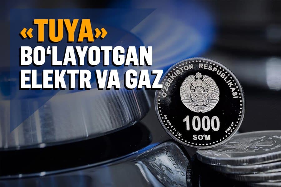 Elektr va gaz o‘g‘rilash: sohadagi bugungi ahvol va bunga qanday chek qo‘yish mumkin?