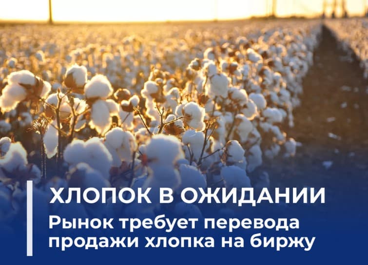 Зерно на бирже – все довольны, свою очередь ждёт хлопок