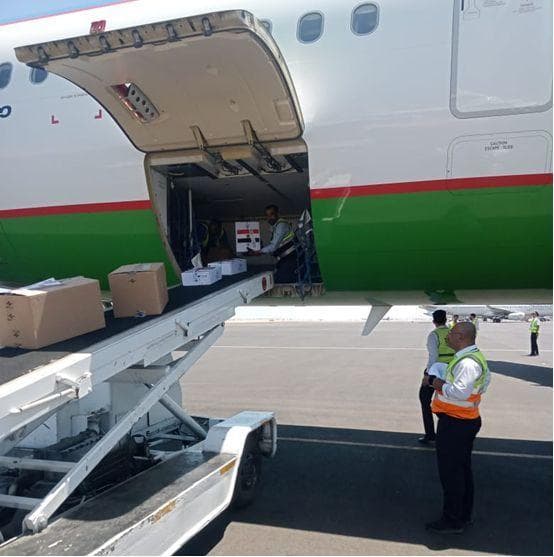 Egypt delivers 10th batch of anti-hepatitis drugs to Uzbekistan 