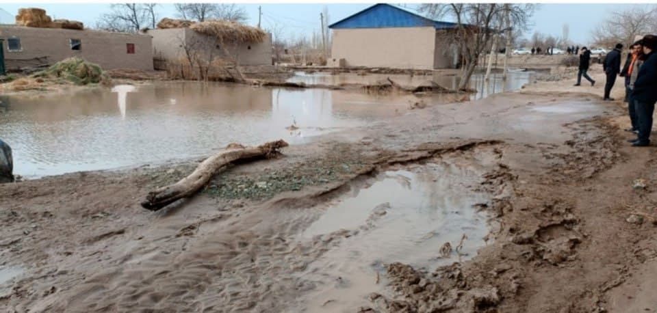В Каракалпакстане из-за подъема уровня воды в канале затопило несколько домов