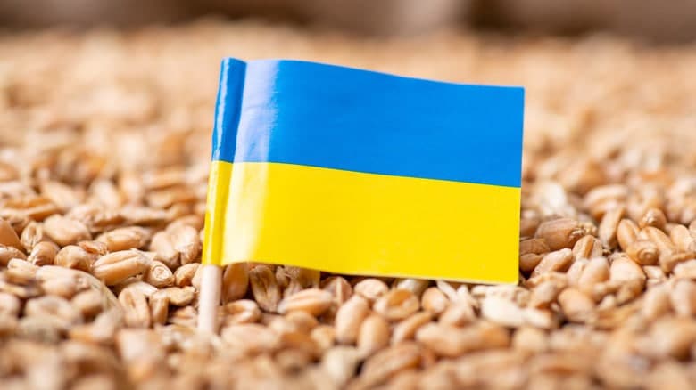 YeI Ukrainadan don importiga qo‘yilgan taqiqni uzaytirishga shoshilmayapti