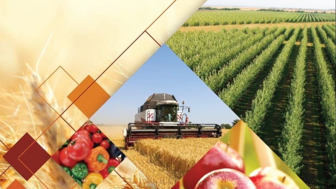 1 sentabrdan «Agroplatforma» axborot tizimi joriy etiladi  