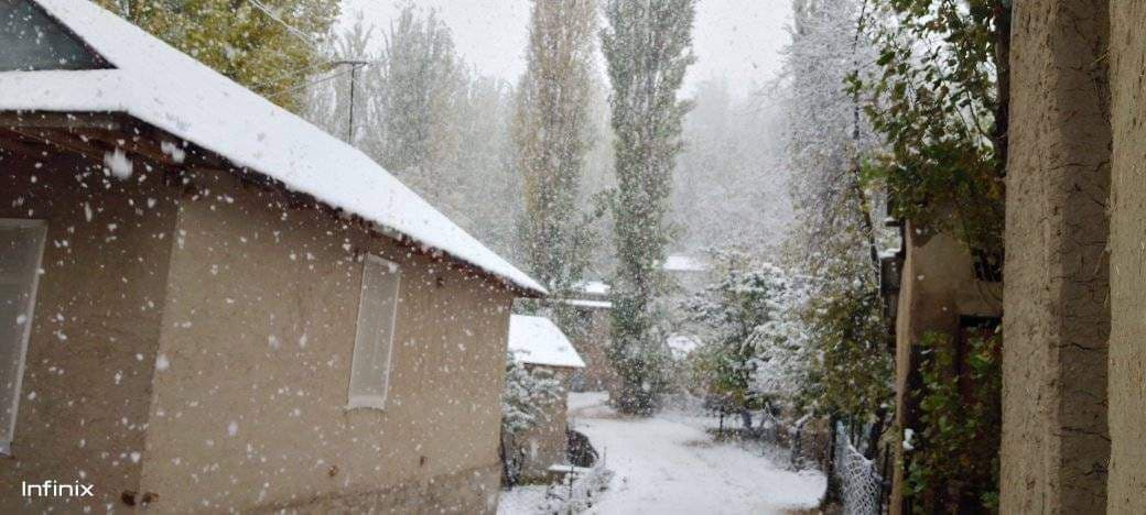 Snow falls in Uzbekistan