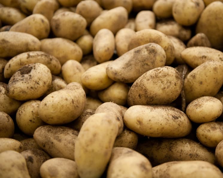 Kazakhstan significantly increases potato exports to Uzbekistan 