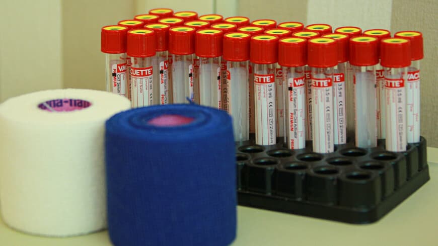 Qozog‘iston shimolida kuydirgi epidemiyasi qayd etildi 