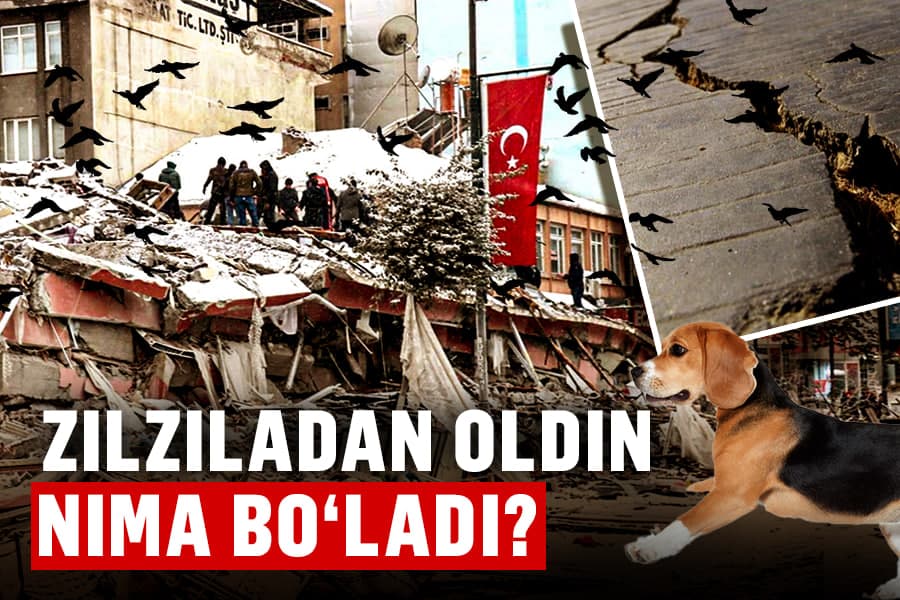 Zilzilani prognoz qilsa bo‘ladimi, seysmik o‘choqlar qayer? - mutaxassislar javobi
