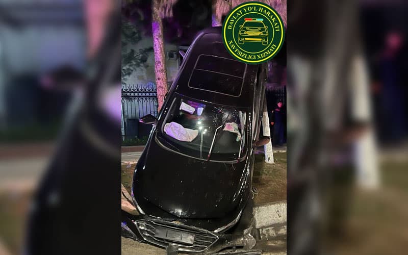 В Ташкенте Malibu «повис» на дереве в результате ДТП