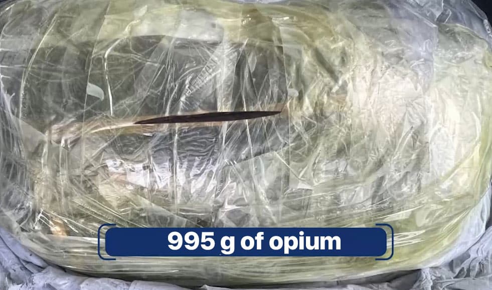 SSS: 1,279 drug-related crimes were solved in 2022