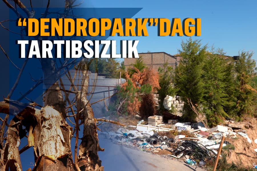 Daraxtzorlar o‘rnida hashamatli uylar - egallab olinayotgan «Dendropark»