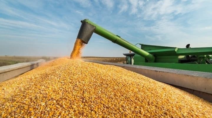 Özbekiston çetdan 513 mln dollarlik buğdoy sotib oldi