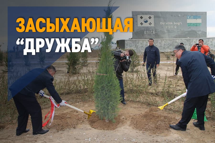 В Навои заброшен «зеленый проект» стоимостью около 3,3 млн долларов