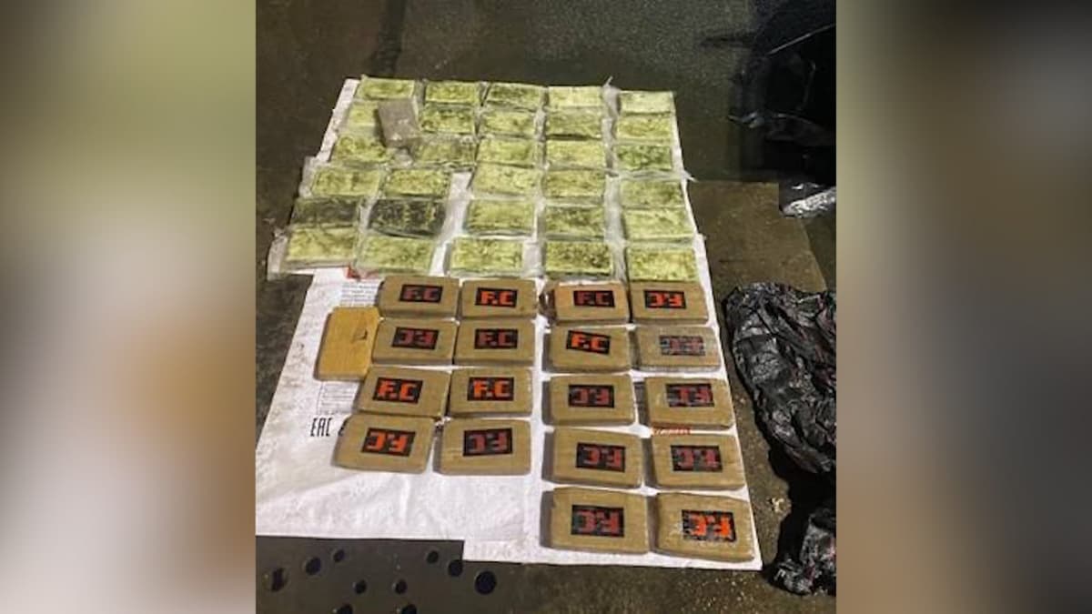 В Санкт-Петербурге обнаружили 50 кг кокаина в бананах. Груз следовал из Африки в Узбекистан 