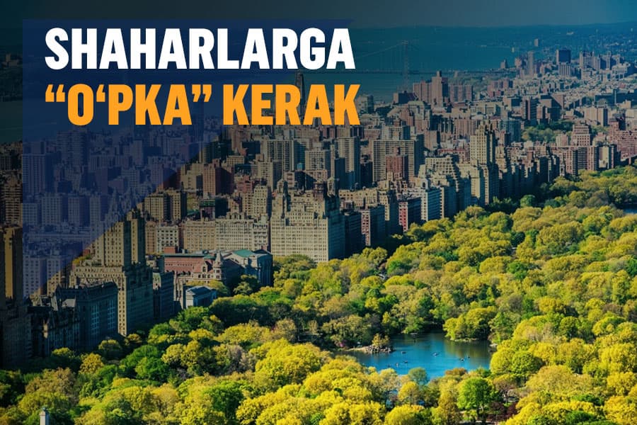 Shaharlarning «o‘pkasi» – yashillikni qanday qilib ko‘paytirish mumkin?