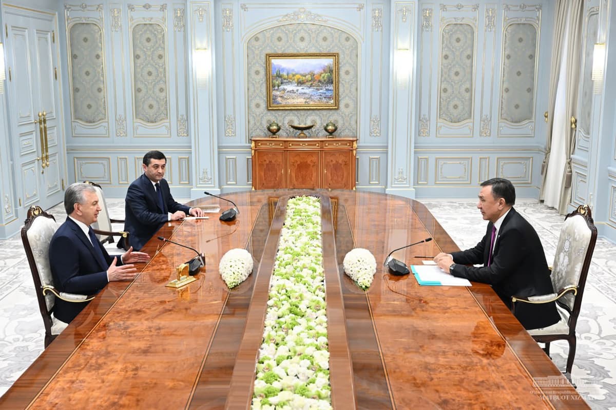 President receives Secretary General of OTS
