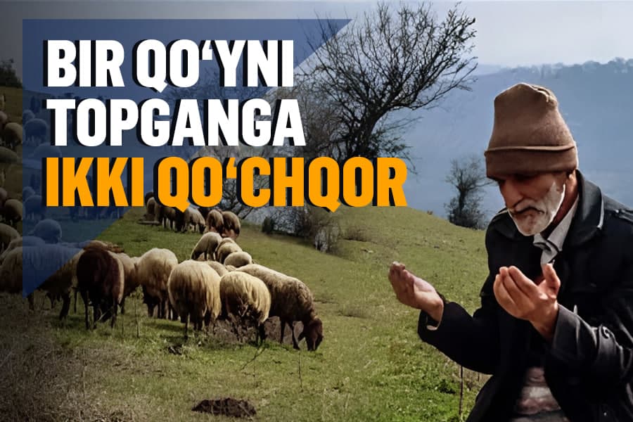 Hayotiy hikoya: Yöqolgan qöyni topganga ikki qöçqor