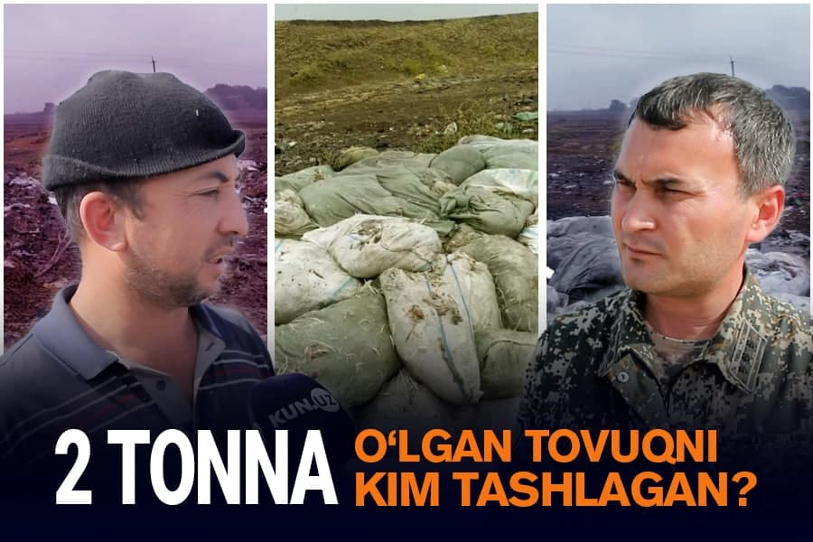 “Nimadan o‘lgani noma’lum” – Yuqori Chirchiqdagi soy bo‘yidan 2 tonna o‘lik tovuqlar tashlab ketilgani aniqlandi