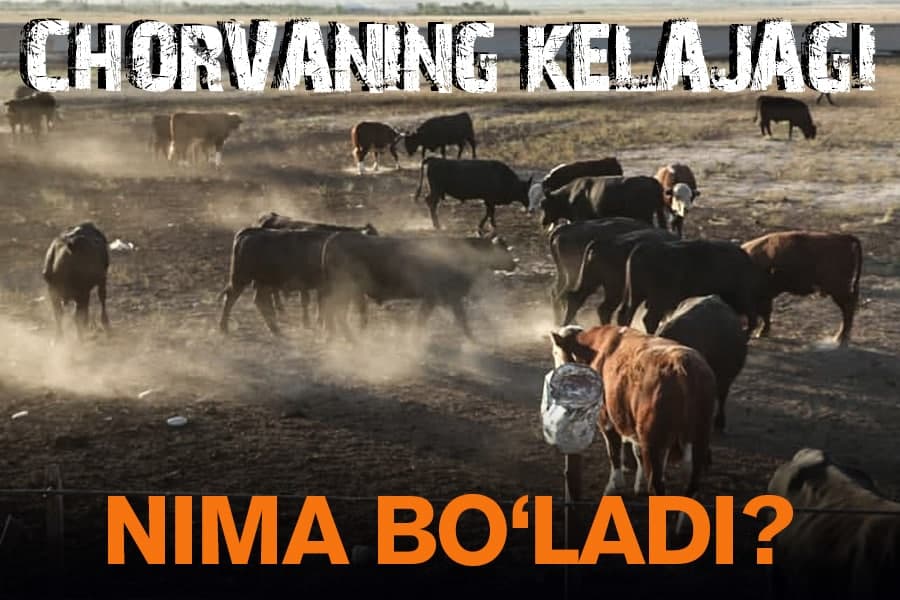 Yaylov kamayib, bori degradatsiya hisobiga yo‘qolib ketmoqda. Yaylovlar kelajagi bo‘yicha mas’ullardan izoh so‘raldi
