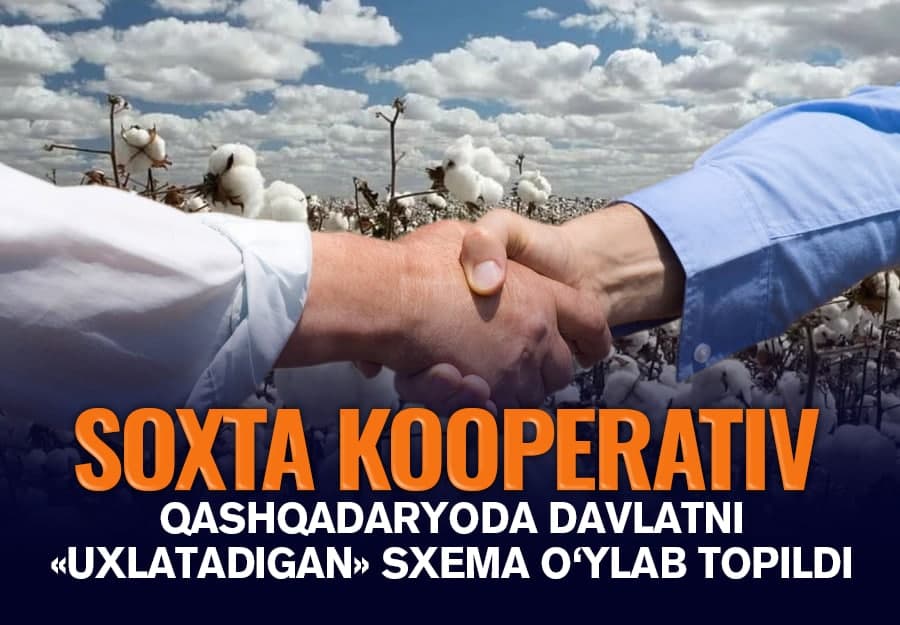 Soxta kooperativ: Qashqadaryoda davlat mablag‘larini talon-toroj qilishning o‘ziga xos usuli «ixtiro» qilindi