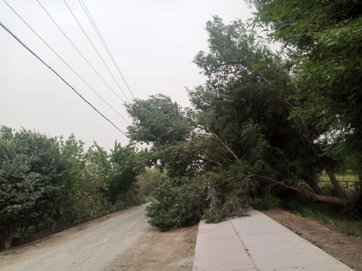 Strong wind interrupts electricity supply in some areas of Khorezm and Karakalpakstan 