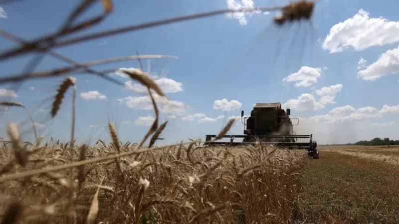Rossiya g‘alla bitimidan chiqishini e’lon qildi. Bu nimani anglatadi?