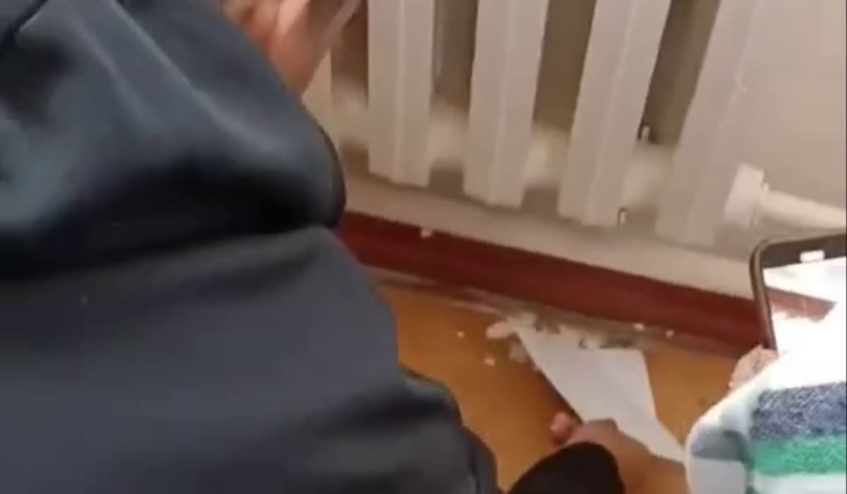 Toshkentda maktab sinfxonasidan chayon topilgani bo‘yicha rasmiy ma’lumot berildi