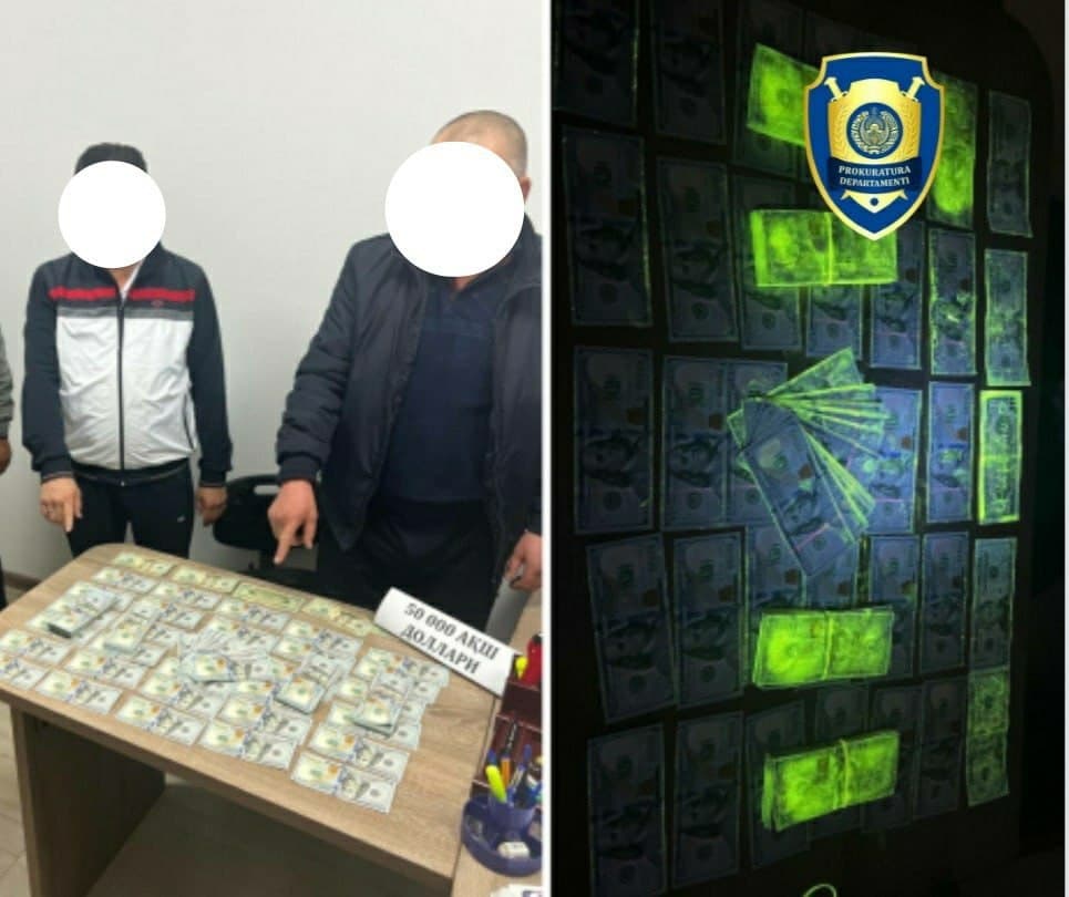 Bo‘stonliqda 11 gektar yerni 550 ming dollarga sotmoqchi bo‘lgan shaxslar ushlandi