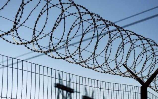 Зангиота туманида ўн нафардан зиёд маҳбус амнистия актига мувофиқ озодликка чиқарилди