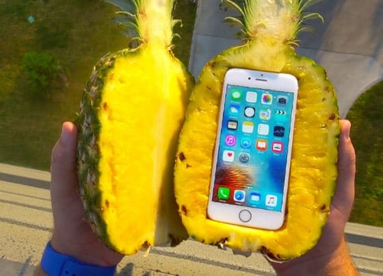 iPhone 6s ananas ichida 30 metrlik balandlikdan tashlandi