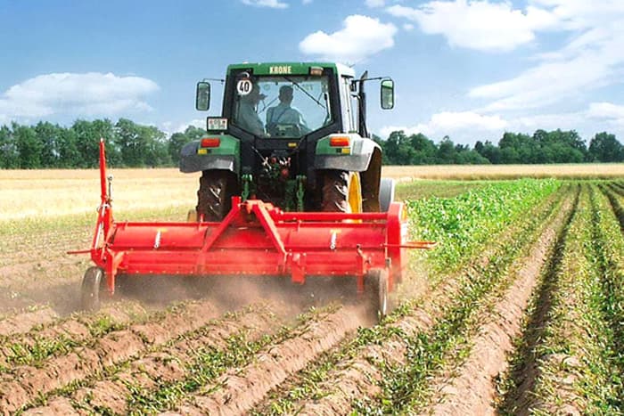 Britaniyaliklar O‘zbekistonda zamonaviy agroklaster qurishadi