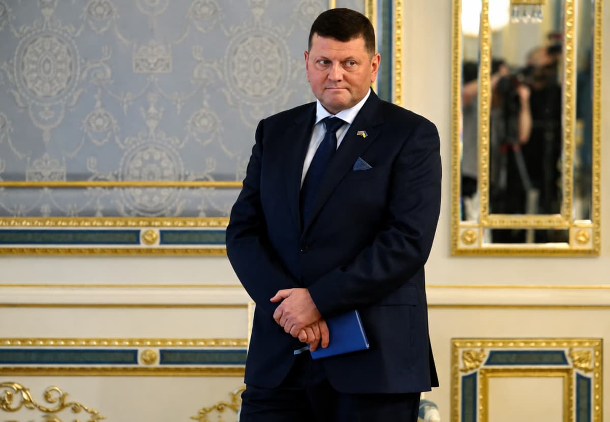 Ukrainadagi reytinglar: Zalujniy va Fedorov Zelenskiydan oldinda