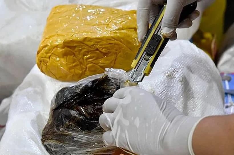 Uzbekistan may tighten measures against money laundering linked to drug crimes