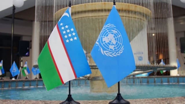 Parliament backs Uzbekistan's accession to UN mediation treaty