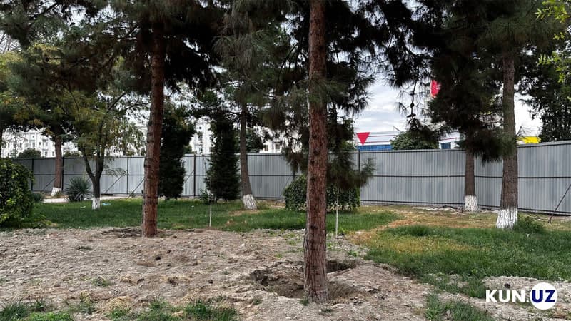 При реконструкции дороги в Ферганской области предусмотрена вырубка 39 деревьев