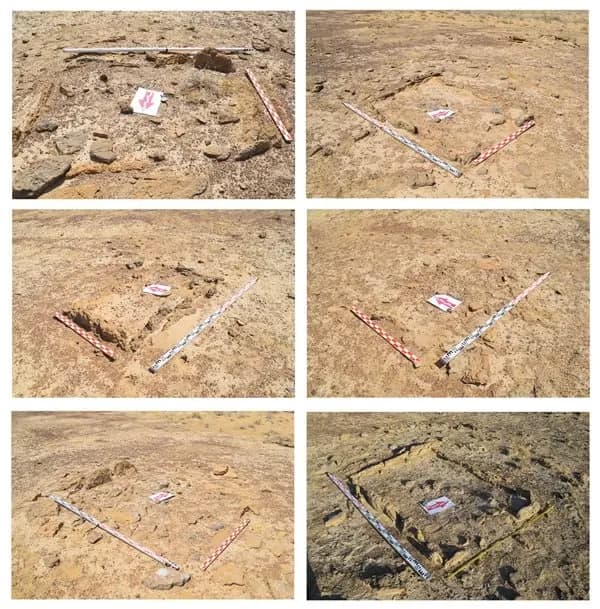 Archaeologists in Uzbekistan discover burial ground tentatively dated to Bronze Age