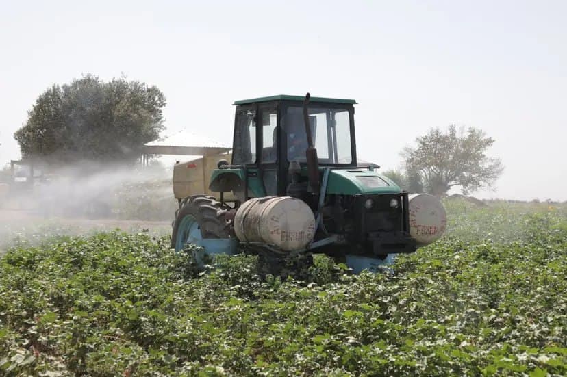 Twenty-two schoolchildren hospitalized after cotton field chemical treatment in Kashkadarya
