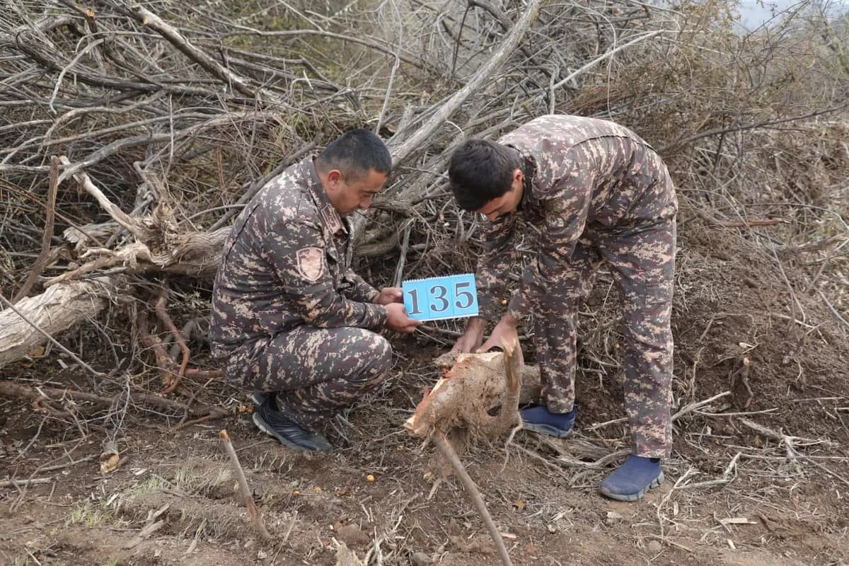 Toshkent viloyatida 600 tupga yaqin daraxt noqonuniy qoʻporib tashlandi