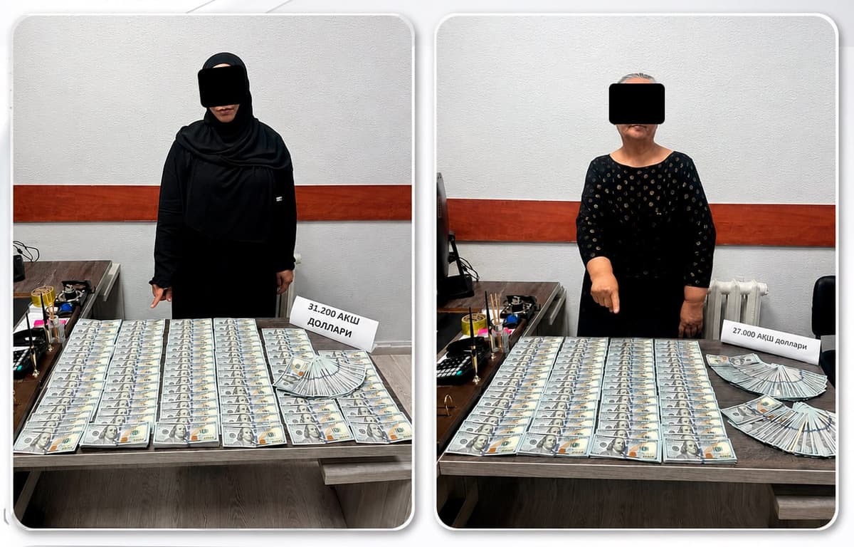 DXX va departament 27 ming dollar olayotgan shaxsni ushladi