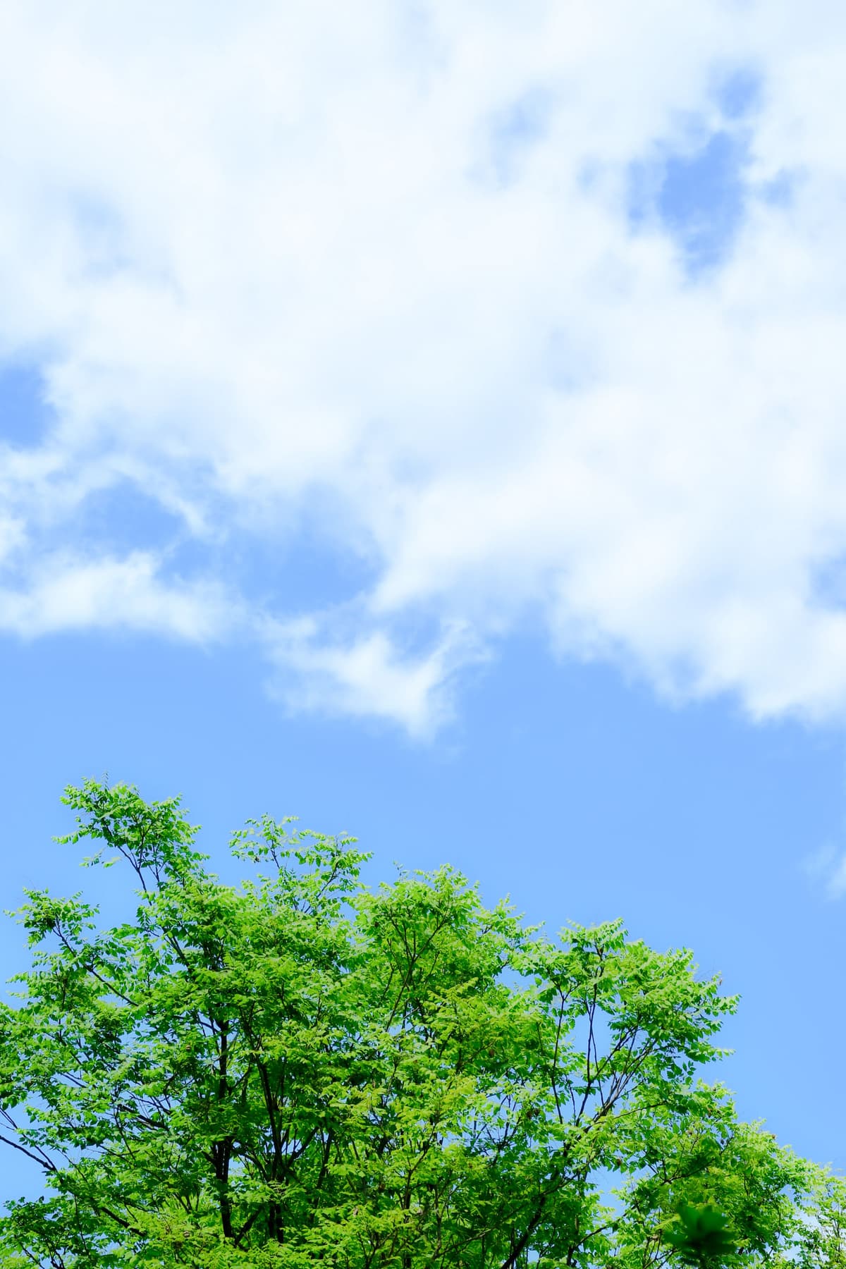 HEPA air purifiers improve cognitive function in older adults, study finds